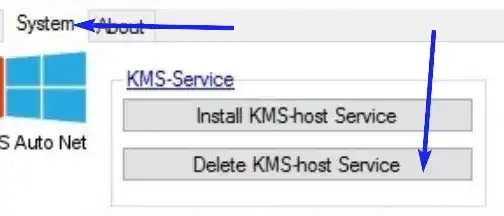 Delete Kms-host service